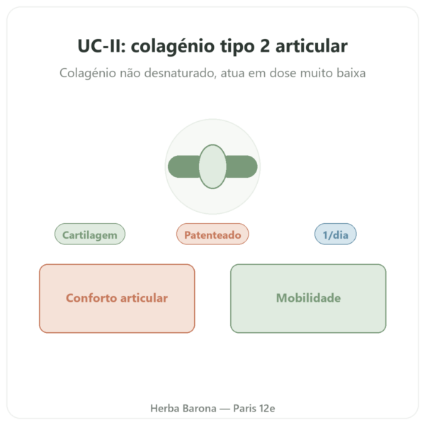 UC-II Colagénio Tipo 2 – NOW Foods – 60 cápsulas apresentação Paris Herba Barona
