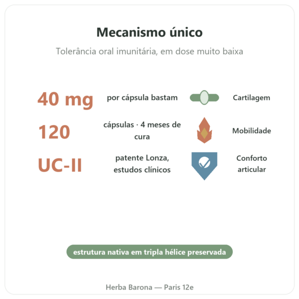 UC-II Colágeno Tipo 2 – Now Foods – 120 cápsulas benefícios e dados principais Paris Herba Barona