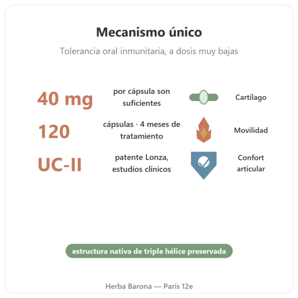 UC-II Colágeno Tipo 2 – NOW Foods – 120 Cápsulas beneficios y datos clave Paris Herba Barona