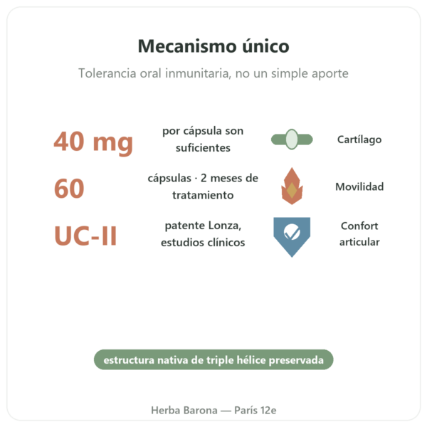 UC-II Colágeno Tipo 2 – NOW Foods – 60 Cápsulas beneficios y datos clave Paris Herba Barona