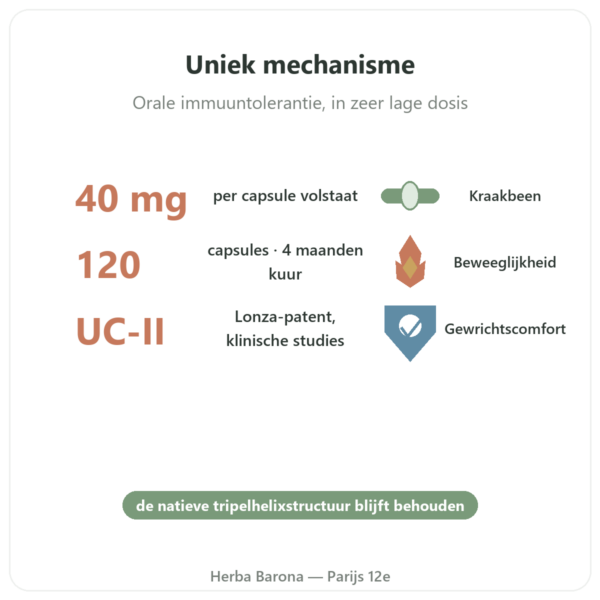 UC-II Collageen Type 2 NOW Foods 120 capsules voordelen en kerngegevens Paris Herba Barona