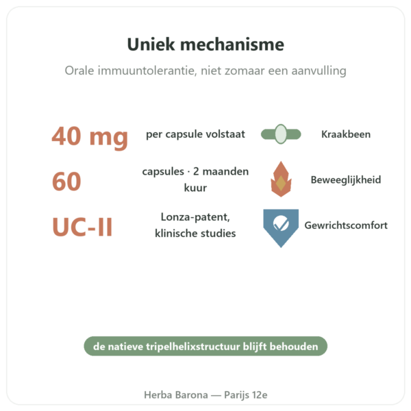 UC-II Collageen Type 2 NOW Foods - 60 capsules voordelen en kerngegevens Paris Herba Barona