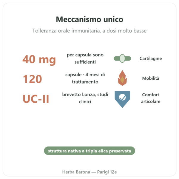 UC-II Collagene Tipo 2 – NOW Foods – 120 Capsule benefici e dati chiave Paris Herba Barona