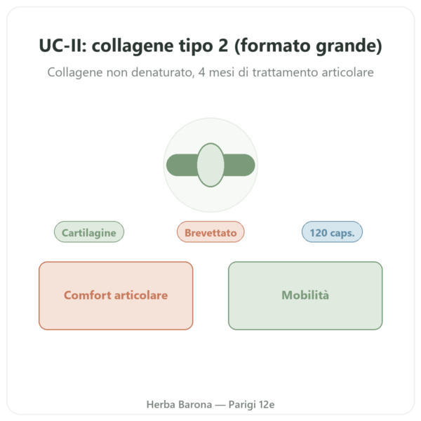 UC-II Collagene Tipo 2 – NOW Foods – 120 Capsule presentazione Paris Herba Barona