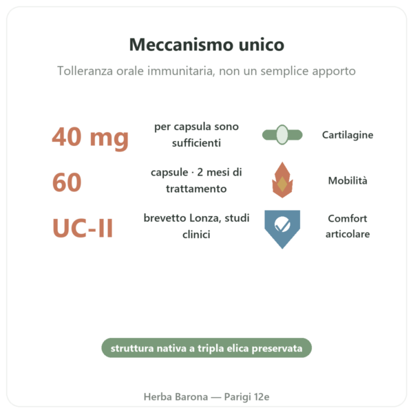 UC-II Collagene Tipo 2 – NOW Foods – 60 Capsule benefici e dati chiave Paris Herba Barona
