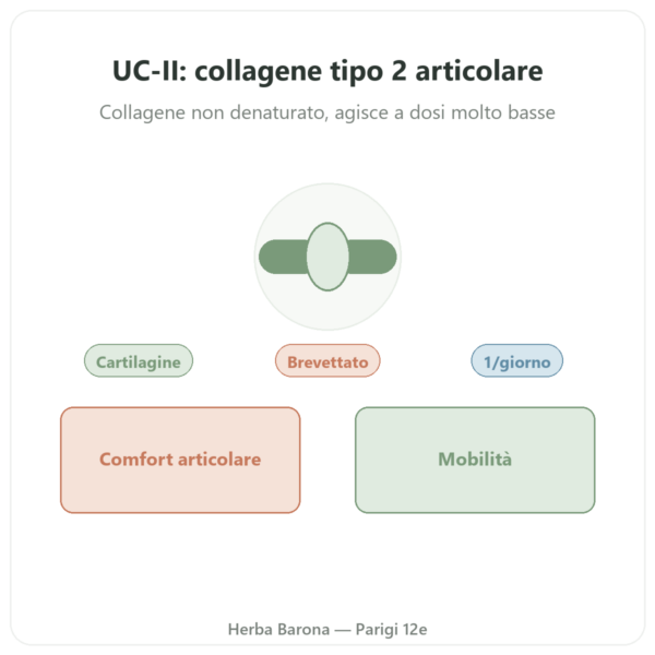UC-II Collagene Tipo 2 – NOW Foods – 60 Capsule presentazione Paris Herba Barona