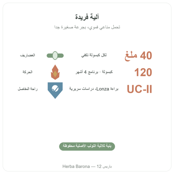 UC-II كولاجين النوع 2 NOW Foods 120 كبسولة الفوائد والمعطيات الرئيسية Paris Herba Barona