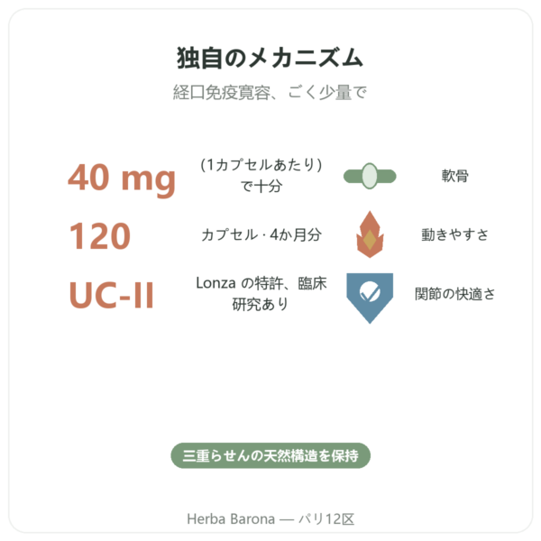 UC-II 非変性II型コラーゲン NOW Foods 120カプセル benefits and key facts Paris Herba Barona