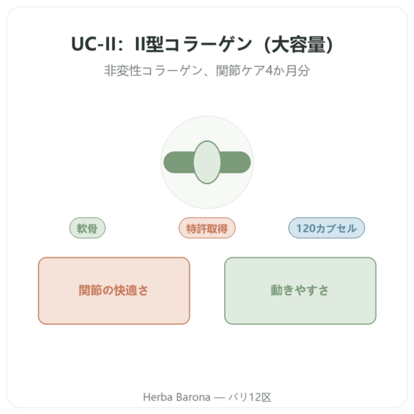 UC-II 非変性II型コラーゲン NOW Foods 120カプセル presentation Paris Herba Barona