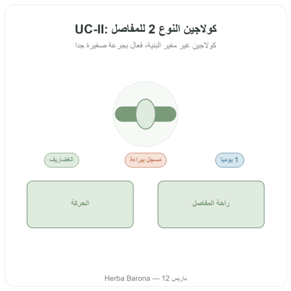 UC-II كولاجين النوع 2 – NOW Foods – 60 كبسولة عرض المنتج Paris Herba Barona
