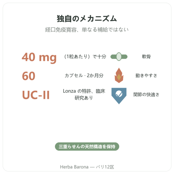 UC-II コラーゲン タイプ2 NOW Foods 60カプセル benefits and key facts Paris Herba Barona