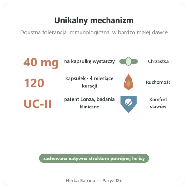 UC-II Kolagen Typu 2 NOW Foods 120 kapsułek w Paryżu korzyści i najważniejsze fakty Paris Herba Barona