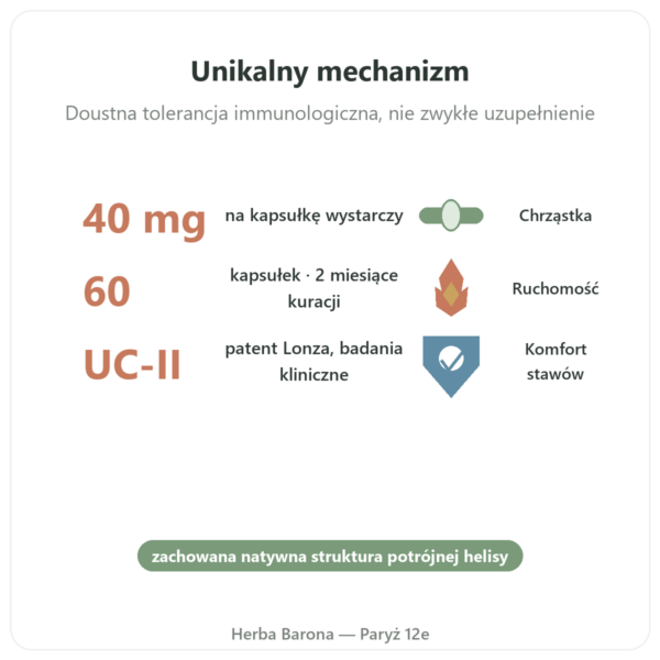 UC-II Kolagen Typu 2 NOW Foods 60 kapsulek korzyści i najważniejsze fakty Paris Herba Barona