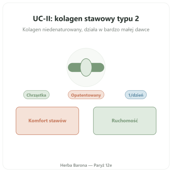 UC-II Kolagen Typu 2 NOW Foods 60 kapsulek prezentacja Paris Herba Barona