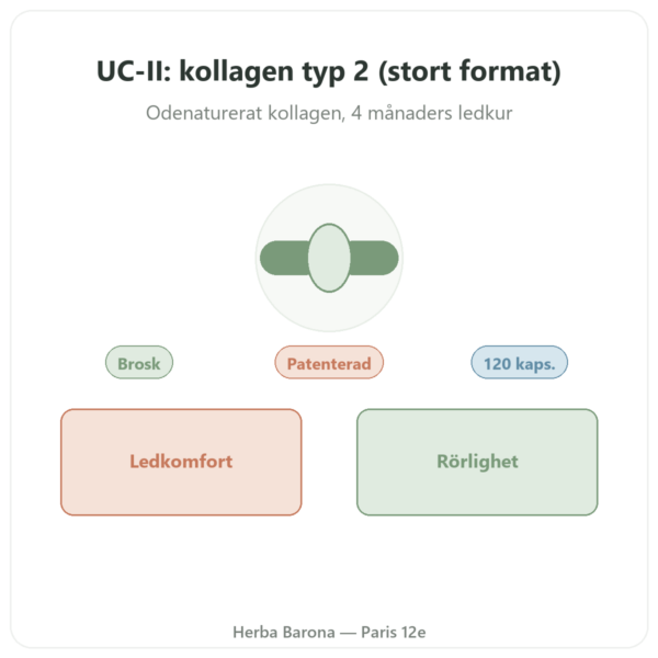 UC-II Kollagen Typ 2 NOW Foods 120 kapslar presentation Paris Herba Barona