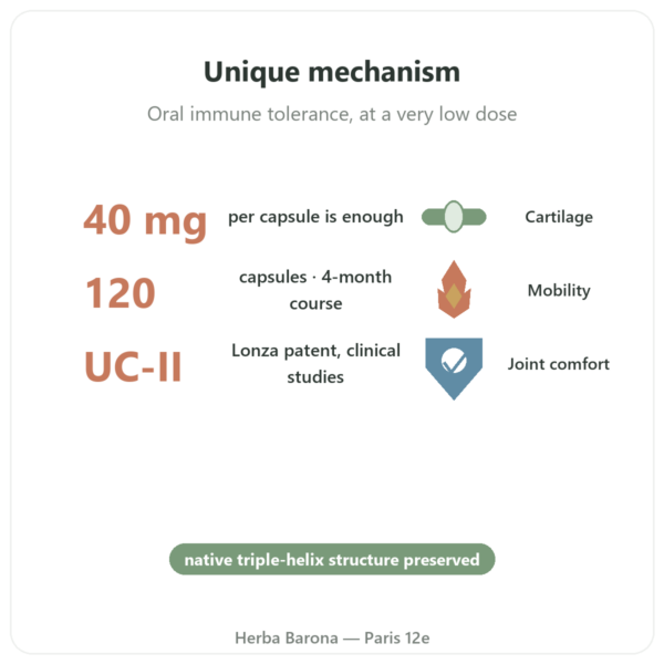 UC-II Type 2 Collagen – Now Foods – 120 Capsules benefits and key facts Paris Herba Barona