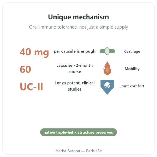 UC-II Type 2 Collagen – NOW Foods – 60 capsules benefits and key facts Paris Herba Barona