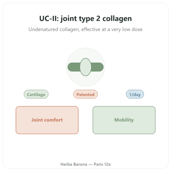 UC-II Type 2 Collagen – NOW Foods – 60 capsules presentation Paris Herba Barona