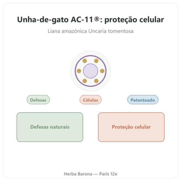 Unha de Gato AC-11® – Dynveo – 350 mg – 60 cápsulas apresentação Paris Herba Barona