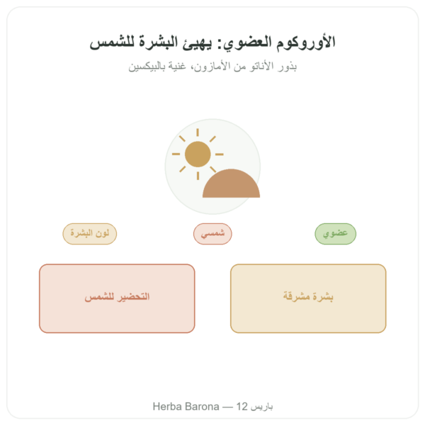 أوروكوم العضوي – Dynveo – 120 كبسولة – 600 ملغ عرض المنتج Paris Herba Barona