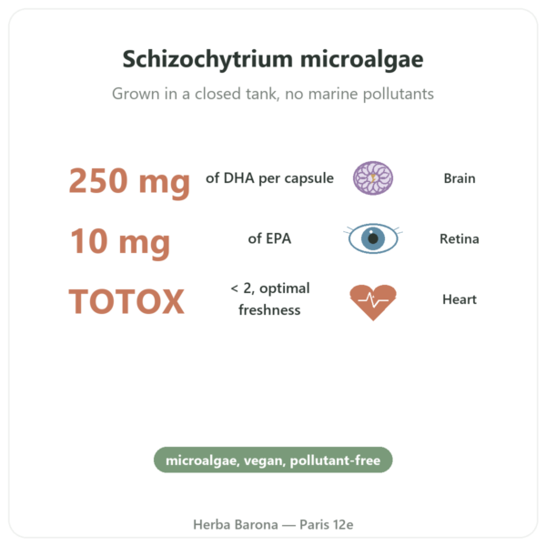 Vegan DHA 250mg – 60 Capsules – Dynveo benefits and key facts Paris Herba Barona