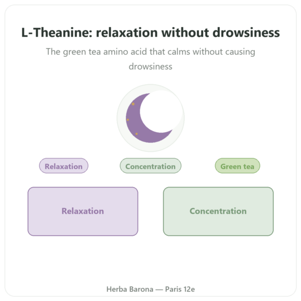 Vegan L-Theanine (BeTheanine®) – Dynveo – 100mg – 60 capsules presentation Paris Herba Barona