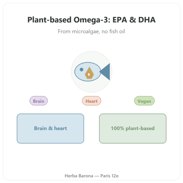 Vegan Omega-3 Microalgae Oil – Dynveo – 60 capsules, 500mg presentation Paris Herba Barona