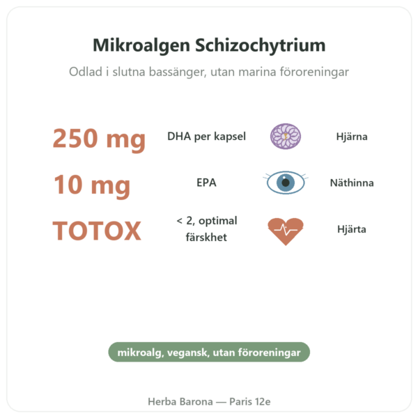 Vegetabiliskt DHA 250 mg / 60 kapslar – Dynveo fördelar och nyckelfakta Paris Herba Barona