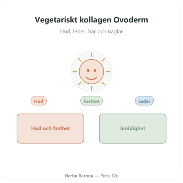 Vegetariskt Kollagen – Dynveo – 60 kapslar – kollagen, elastin, hyaluronsyra presentation Paris Herba Barona