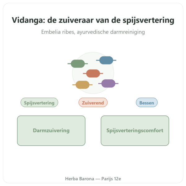 Vidanga Embelia Ribes Ayur-vana 60 Capsules presentatie Paris Herba Barona