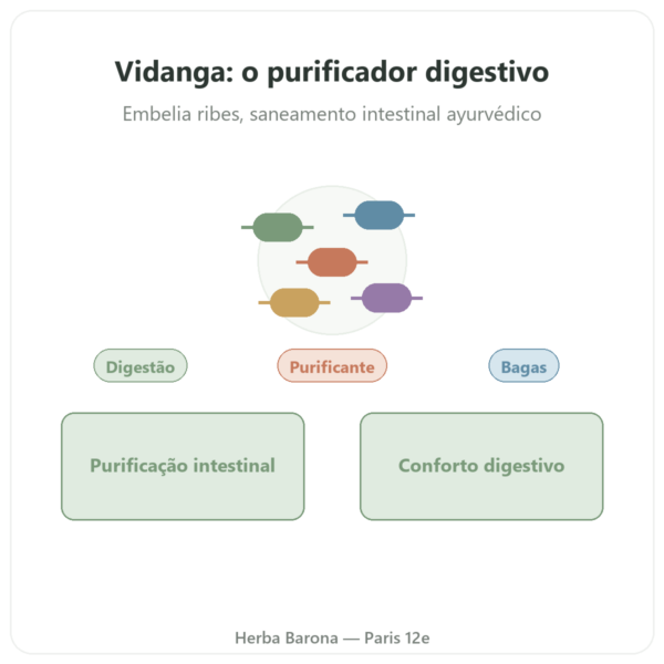 Vidanga (Embelia ribes) Ayur-vana 60 cápsulas apresentação Paris Herba Barona