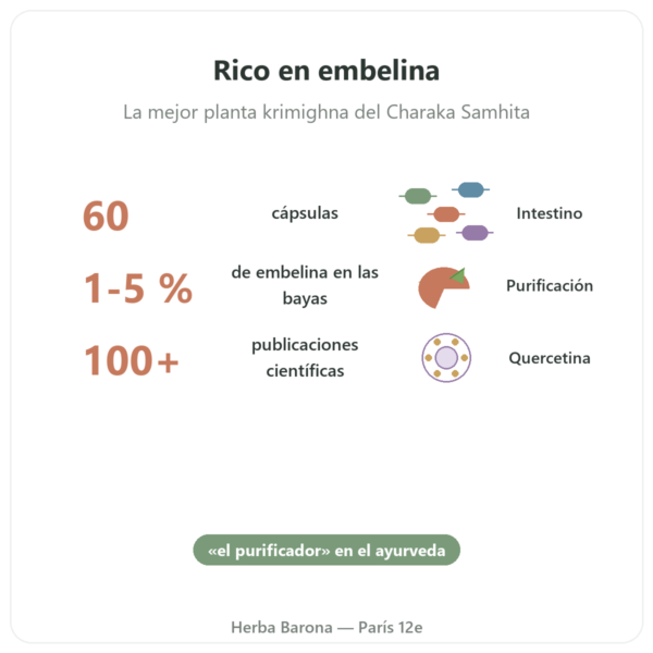 Vidanga (Embelia ribes) – Ayur-vana – 60 Cápsulas beneficios y datos clave Paris Herba Barona
