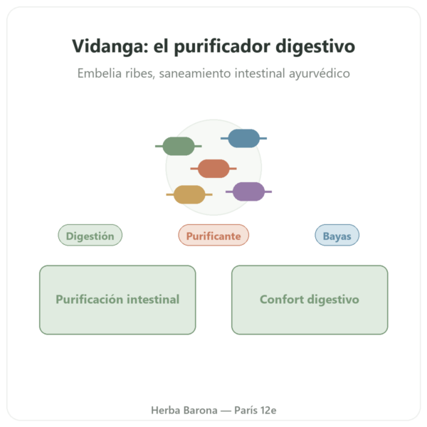 Vidanga (Embelia ribes) – Ayur-vana – 60 Cápsulas presentación Paris Herba Barona