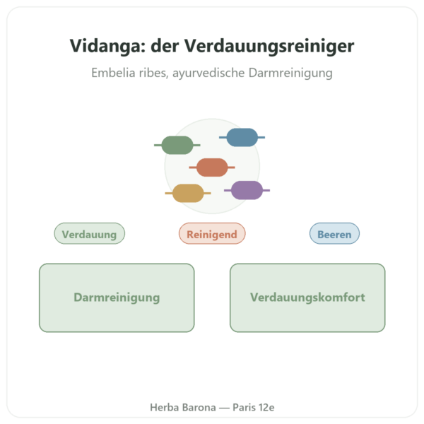 Vidanga (Embelia ribes) – Ayur-vana – 60 Kapseln Vorstellung Paris Herba Barona