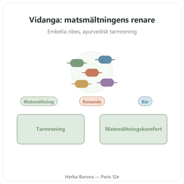 Vidanga (Embelia ribes) Ayur-vana 60 kapslar presentation Paris Herba Barona