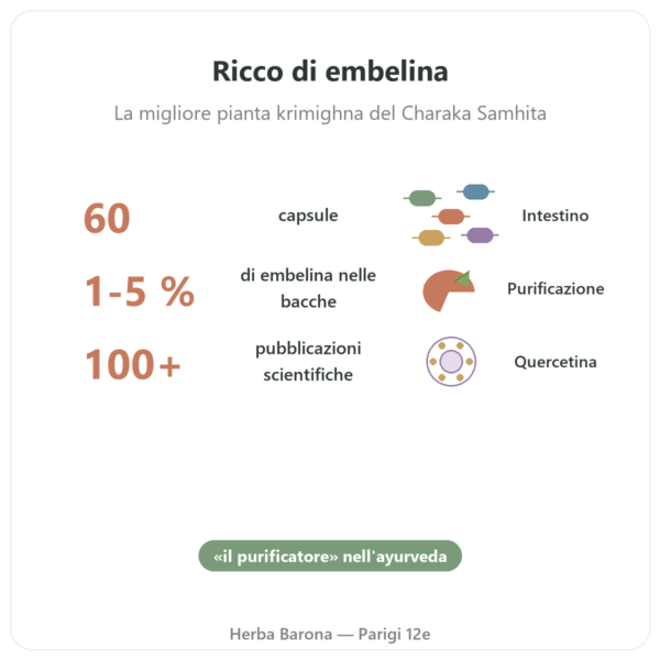 Vidanga (Embelia ribes) Ayur-vana 60 capsule benefici e dati chiave Paris Herba Barona