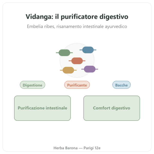 Vidanga (Embelia ribes) Ayur-vana 60 capsule presentazione Paris Herba Barona
