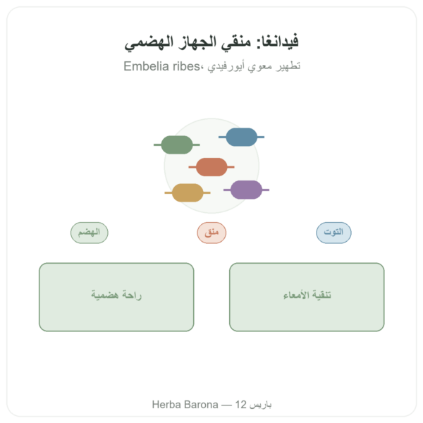 فيدانغا (Embelia ribes) – Ayur Vana – 60 كبسولة عرض المنتج Paris Herba Barona