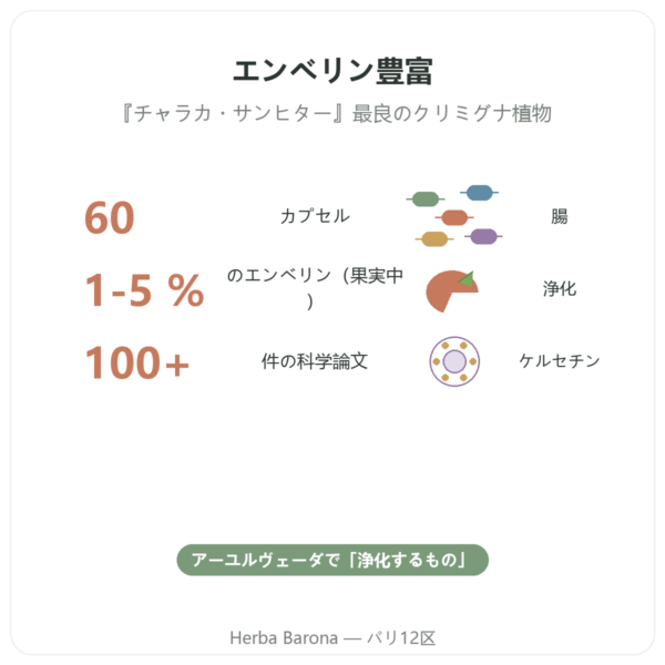 Vidanga (Embelia ribes) Ayur-vana 60カプセル benefits and key facts Paris Herba Barona