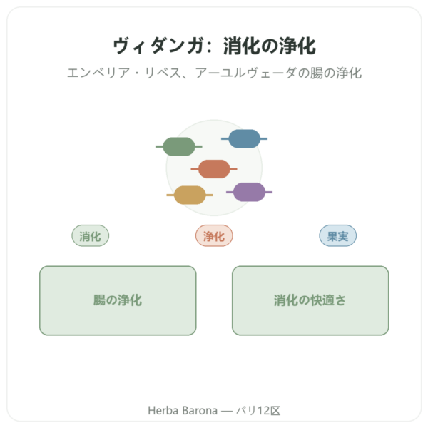 Vidanga (Embelia ribes) Ayur-vana 60カプセル presentation Paris Herba Barona