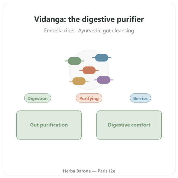Vidanga (Embelia ribes) – Ayur-vana – 60 Capsules presentation Paris Herba Barona