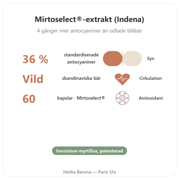 Vildblåbärsextrakt – Dynveo – 60 kapslar fördelar och nyckelfakta Paris Herba Barona