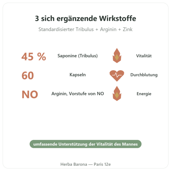 Virigo – Distriform' – 60 Kapseln – Männliche Vitalität Vorteile und Fakten Paris Herba Barona