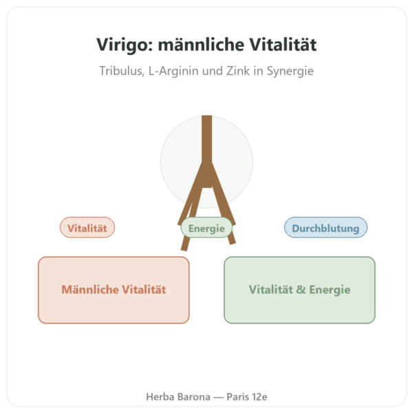Virigo – Distriform' – 60 Kapseln – Männliche Vitalität Vorstellung Paris Herba Barona