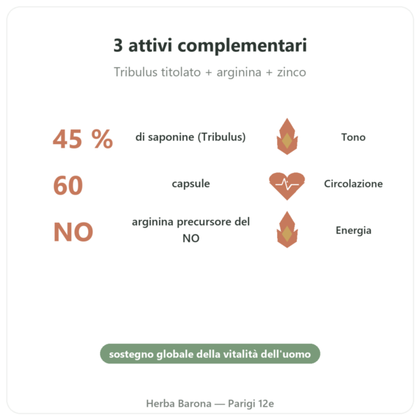 Virigo – Distriform – 60 capsule – Vitalità maschile benefici e dati chiave Paris Herba Barona