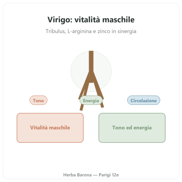 Virigo – Distriform – 60 capsule – Vitalità maschile presentazione Paris Herba Barona