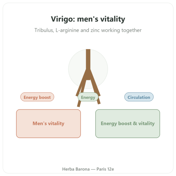 Virigo – Distriform' – 60 Capsules – Male Vitality presentation Paris Herba Barona