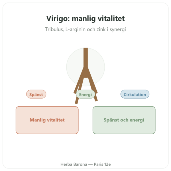 Virigo – Distriform' – 60 kapslar – Manlig vitalitet presentation Paris Herba Barona