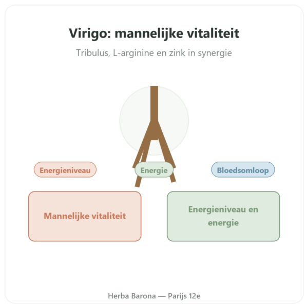 Virigo – Distriform' – 60 capsules – Mannelijke vitaliteit presentatie Paris Herba Barona