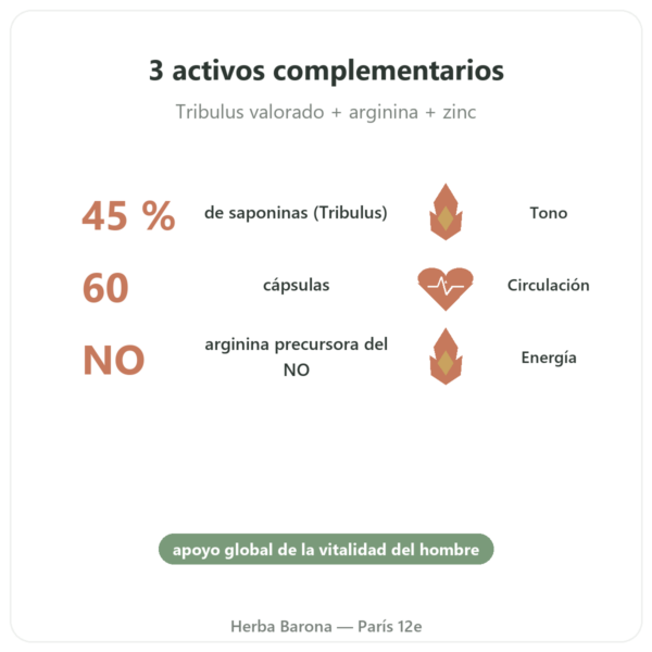 Virigo – Distriform' – 60 Cápsulas – Vitalidad Masculina beneficios y datos clave Paris Herba Barona